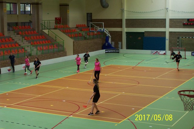 fin 1